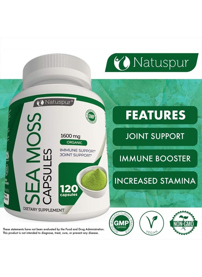 Natuspur - Organic Irish Sea Moss 2315mg Bladderwrack and Burdock Root with Black Pepper Prebiotic Super Food for - Joint, Digestive Health, Thyroid, Healthy Skin, Gut & Immune Support – 120 Capsules - Image 1