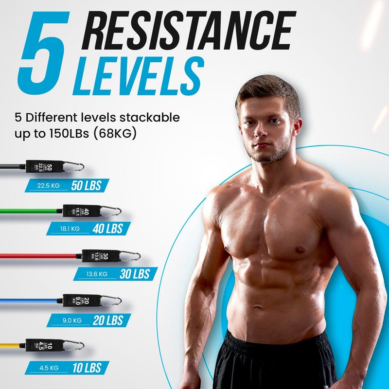 PORTENTUM Portentom Exercise Band with 5 Different Levels Up to 150 lbs Ideal for TRX or Home Gym Multi Coloured - Image 2