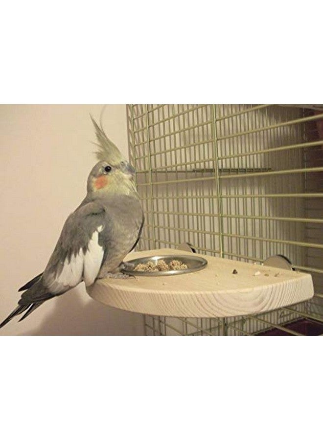 ويستيرن إرا منصة/مجثم/حامل للطيور مع كأس لجميع الطيور (8.5 بوصة) - Image 3