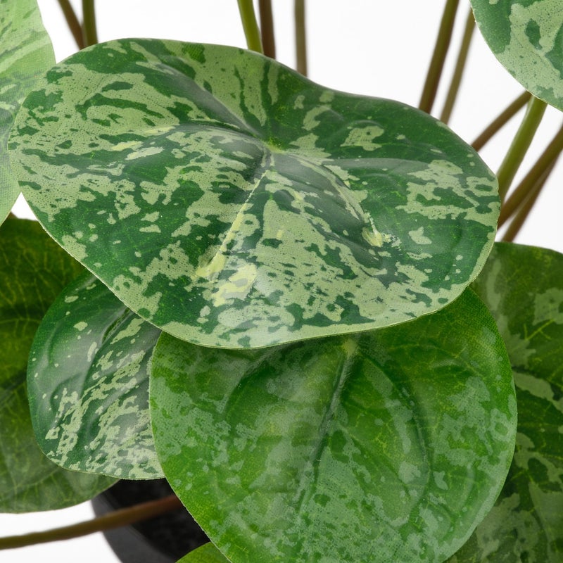 FEJKA Artificial Potted Pilea Plant, Green, 9 cm Pot - Image 4