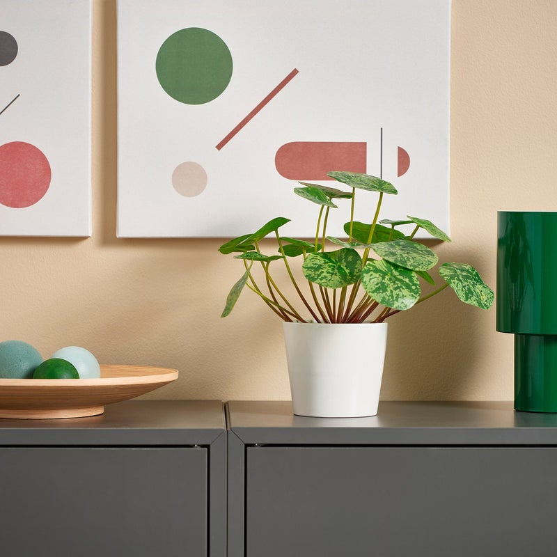 FEJKA Artificial Potted Pilea Plant, Green, 9 cm Pot - Image 2