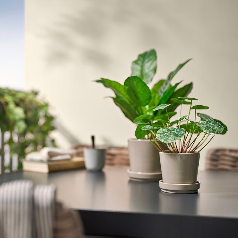 FEJKA Artificial Potted Pilea Plant, Green, 9 cm Pot - Image 3