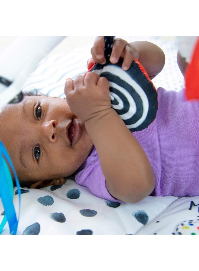 Sassy Look & Learn Baby Box - 0+ Months - Image 5