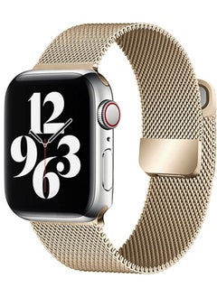 Apple Watchband MAGMETIC  42mm / 44mm / 45mm Apple Watch Strap For Apple Watch Series 7 / 6 / SE / 5 / 4 / 3 / 2 / 1, 42mm / 44mm / 45mm Gold