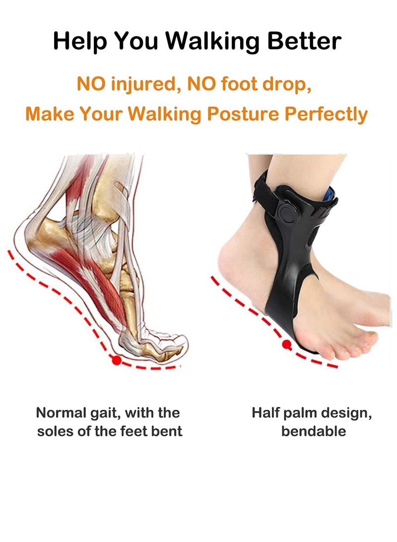 Drop Foot Brace Orthosis AFO, 2023 Upgraded Medical Up Ankle Support with Inflatable Airbag for Hemiplegia SStroke, Multiple Sclerosis Stabilizer Left Foot, L Size - Image 5