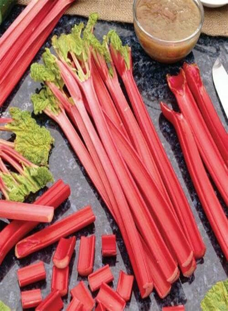 جي جوت بذور خضراوات راوند الشمبانيا - روم × هايبريدوم "الشمبانيا"، زراعة منزلية بواسطة هيفي تورش، ١٥ بذرة