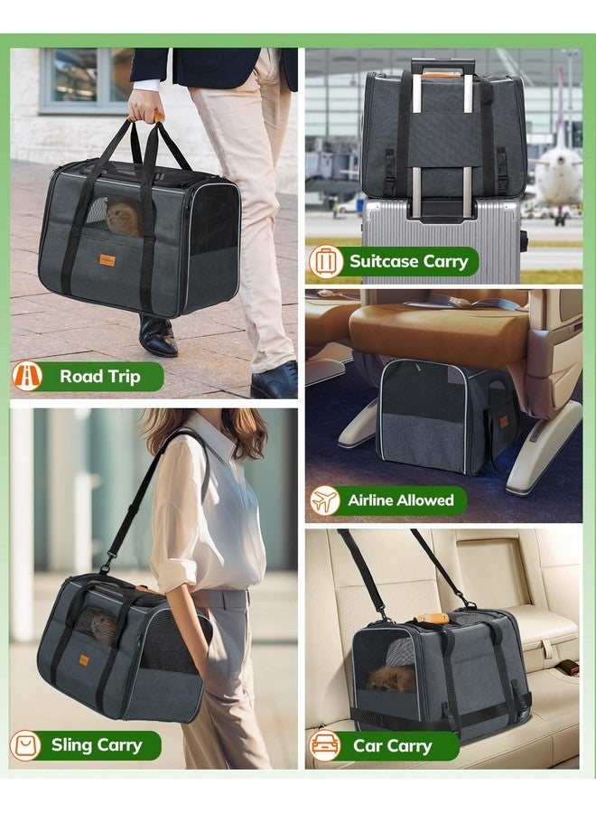 Morpilot Pet Travel Carrier Bag, Soft-Sided Dog Carrier Cat Carrier Pet Carrier (18 x 12.5 x 14 Inches), for Large Cats and Medium Puppies, w/Locking Safety Zippers, Foldable Bowl - Image 3