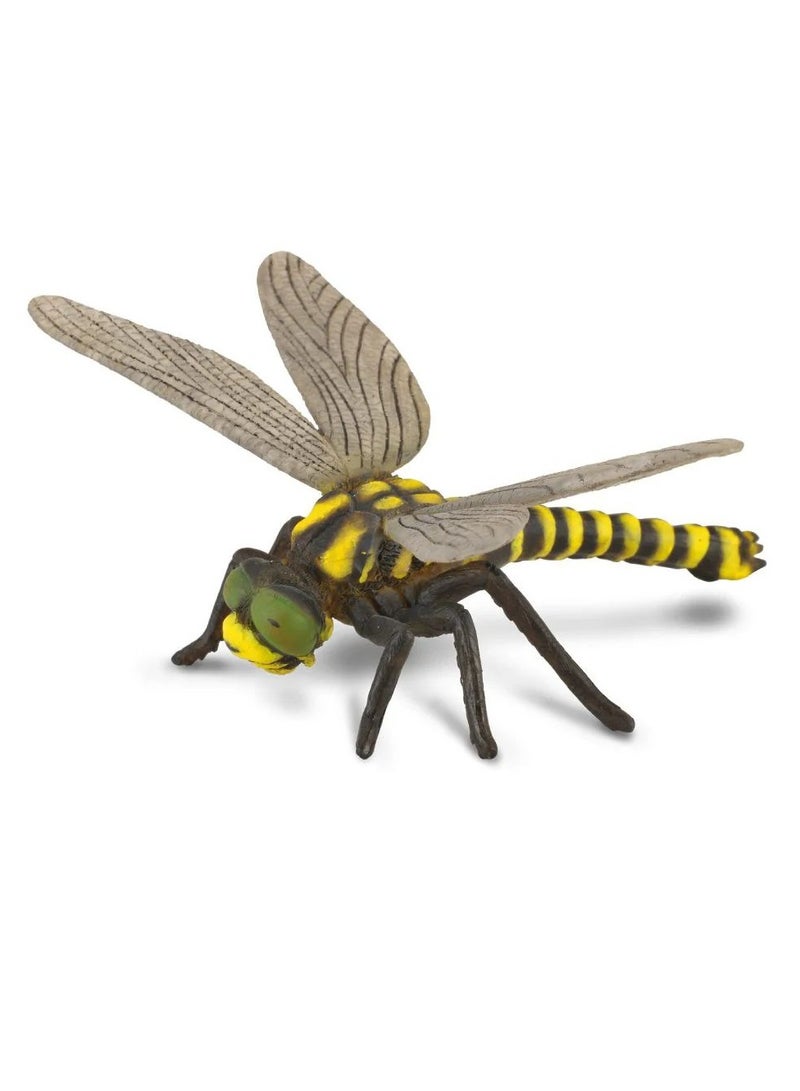 CollectA Collecta - Golden Ringed Dragonfly - 88350 