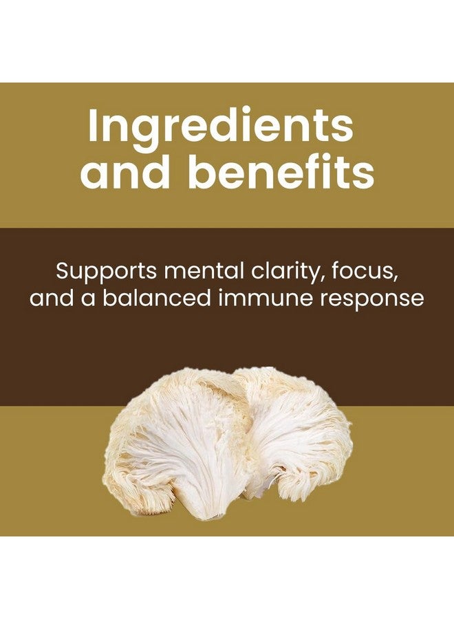 Rooted USDA Organic Lions Mane Mushroom Extract Capsules, 38% Beta Glucan (120 Caps) - Image 2