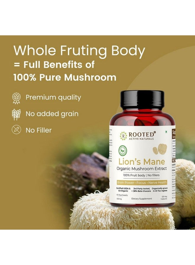 Rooted USDA Organic Lions Mane Mushroom Extract Capsules, 38% Beta Glucan (120 Caps) - Image 4