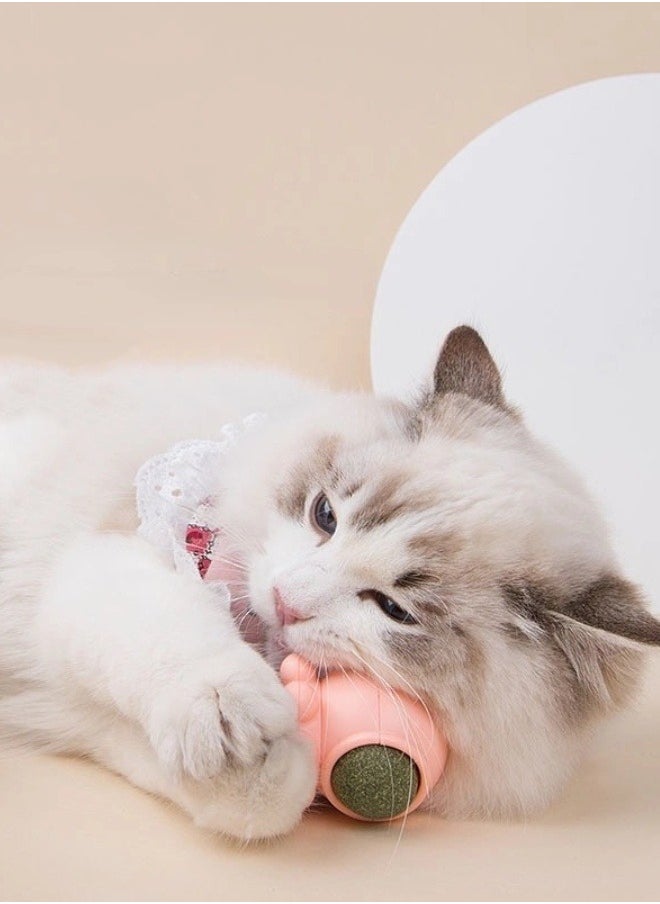 3-Piece Cat Toys Catnip Wall Ball Edible Cat Toy, Cat Chew Toy, Teeth Cleaning Cat Bite Toy, Rotatable Indoor Cat Toy(Style random:crab/turtle/snail)