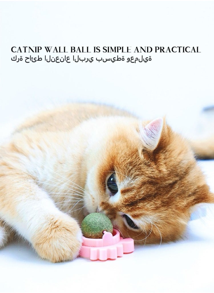 3-Piece Cat Toys Catnip Wall Ball Edible Cat Toy, Cat Chew Toy, Teeth Cleaning Cat Bite Toy, Rotatable Indoor Cat Toy(Style random:crab/turtle/snail)