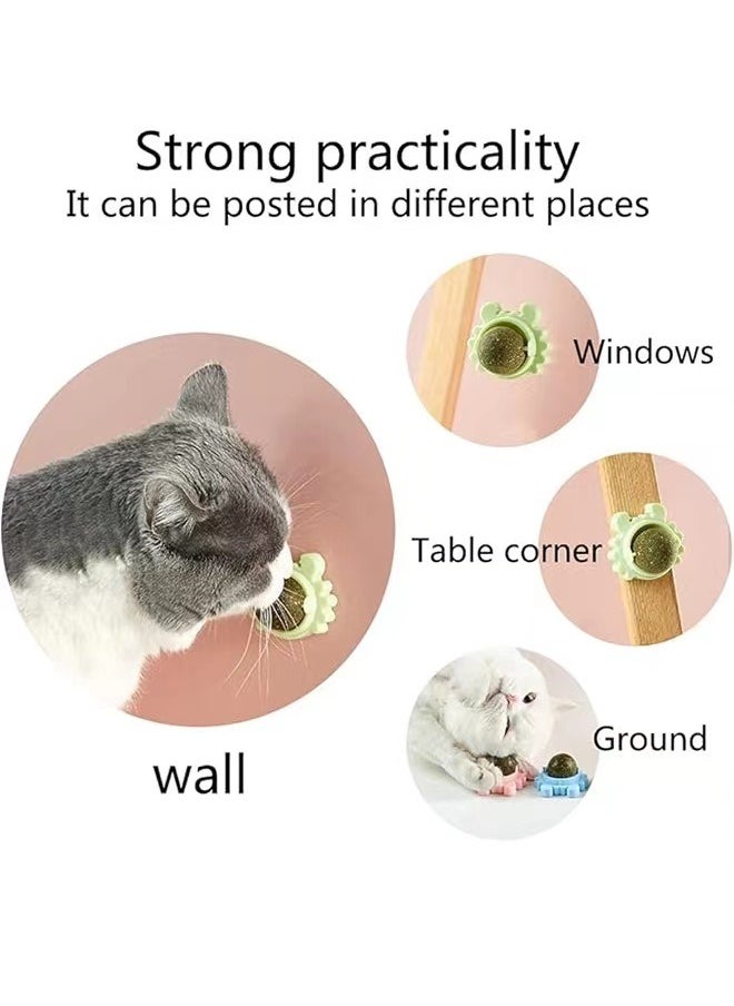 3-Piece Cat Toys Catnip Wall Ball Edible Cat Toy, Cat Chew Toy, Teeth Cleaning Cat Bite Toy, Rotatable Indoor Cat Toy(Style random:crab/turtle/snail)