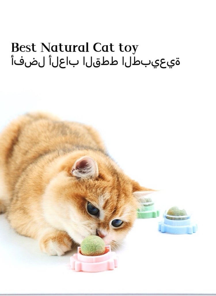 Generic 3-Piece Cat Toys Catnip Wall Ball Edible Cat Toy, Cat Chew Toy, Teeth Cleaning Cat Bite Toy, Rotatable Indoor Cat Toy(Style random:crab/turtle/snail)  - Image 4