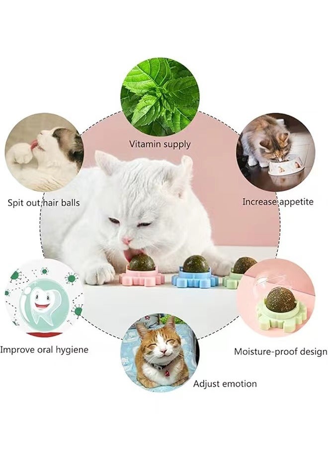 3-Piece Cat Toys Catnip Wall Ball Edible Cat Toy, Cat Chew Toy, Teeth Cleaning Cat Bite Toy, Rotatable Indoor Cat Toy(Style random:crab/turtle/snail)