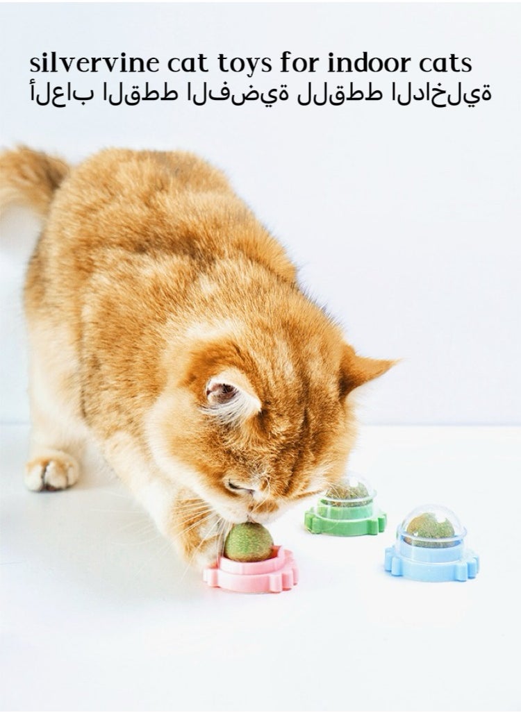 3-Piece Cat Toys Catnip Wall Ball Edible Cat Toy, Cat Chew Toy, Teeth Cleaning Cat Bite Toy, Rotatable Indoor Cat Toy(Style random:crab/turtle/snail)