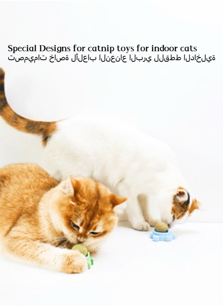 Generic 3-Piece Cat Toys Catnip Wall Ball Edible Cat Toy, Cat Chew Toy, Teeth Cleaning Cat Bite Toy, Rotatable Indoor Cat Toy(Style random:crab/turtle/snail)  - Image 3