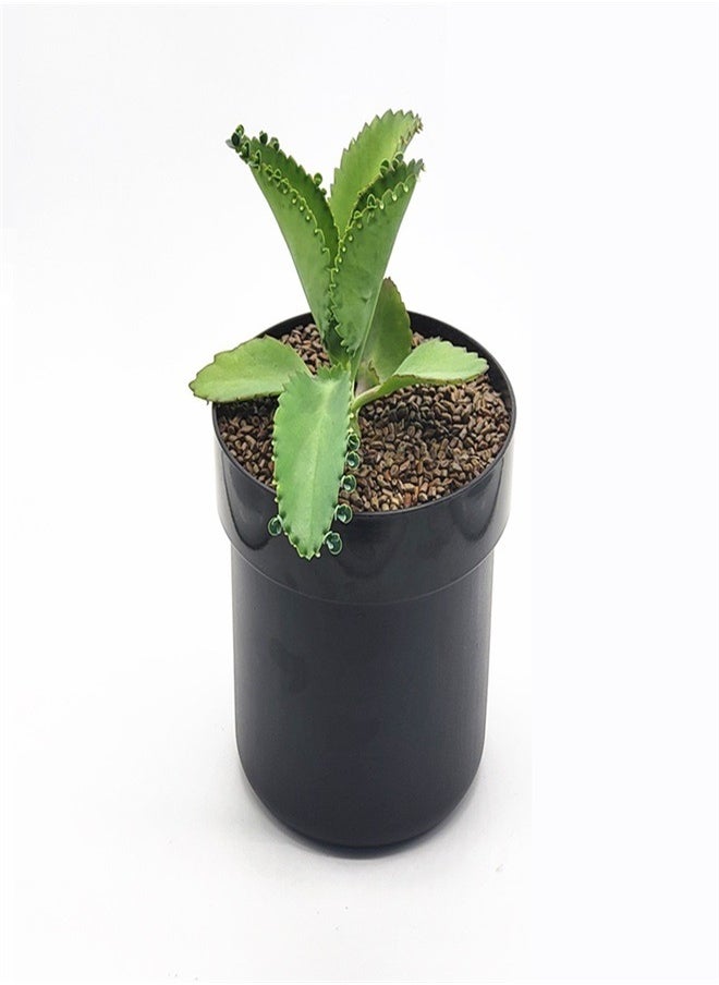 Generic - Iron Flower Pot Hidden Safe Secret Safe Compartment Lock Box Hideaway Storage Money Keys and Other Valuables Waterproof Corrosion - Image 1