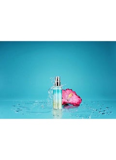 ST.TROPEZ بخاخ ماء تسمير البشرة الذاتي من سانت تروبيز للنساء، 2.7 أونصة سائلة  - Image 4