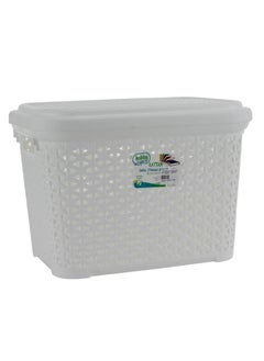 Hobby Life Plastic Ratan Design Storage Box