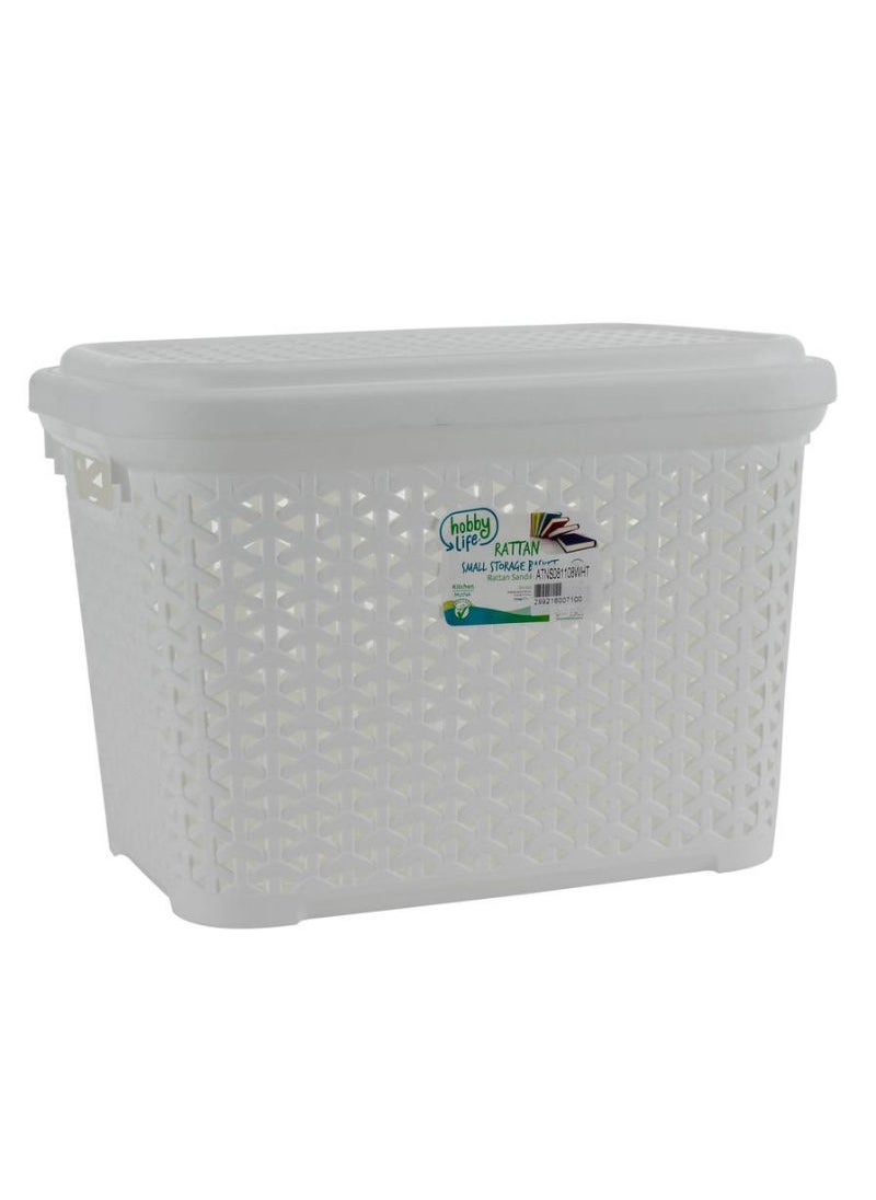 Hobby Life - Hobby Life Plastic Ratan Design Storage Box - Image 1