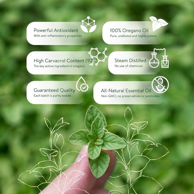 spring_blossom 30ml Oregano Oil 100 Pure Undiluted Min 92 Carvacrol SuperStrength Himalayan Essential Oil of Oregano Origanum Vulgare Highly Potent Immunity Booster for Cold Cough Sore Throat Gut Health - Image 3