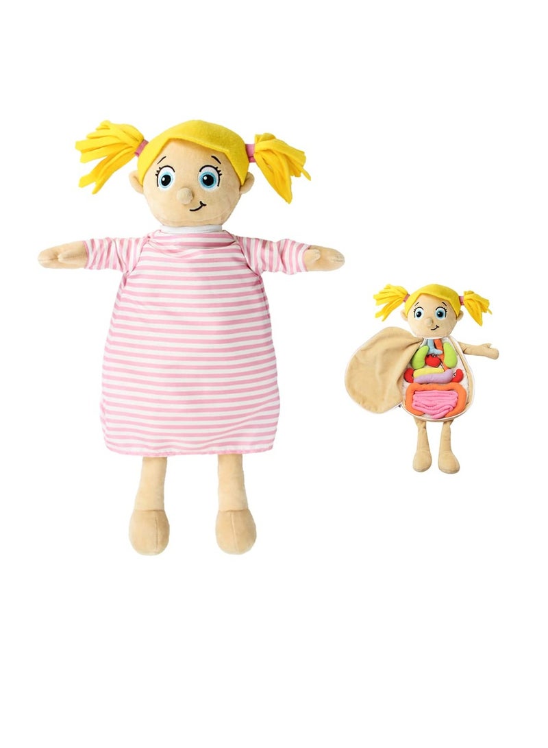Excefore Human Body Anatomy Toy, Preschool Educational Organ Plush Toys for Kids, Science Learning Kits for Student, Body Organ Awareness Teaching Tools,Girl - Image 1