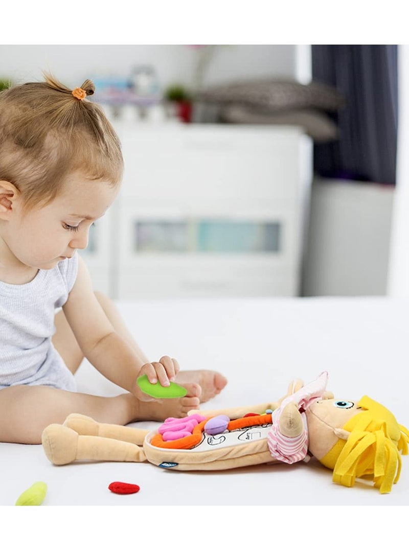 Excefore Human Body Anatomy Toy, Preschool Educational Organ Plush Toys for Kids, Science Learning Kits for Student, Body Organ Awareness Teaching Tools,Girl - Image 2