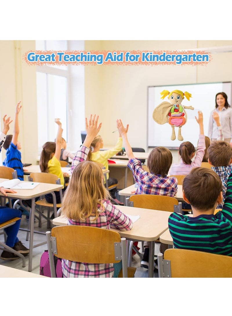 Excefore Human Body Anatomy Toy, Preschool Educational Organ Plush Toys for Kids, Science Learning Kits for Student, Body Organ Awareness Teaching Tools,Girl - Image 3