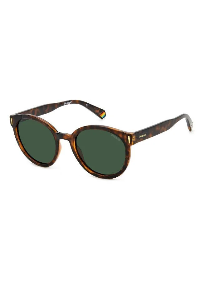 Polaroid Polaroid Sunglasses PLD 6185/S