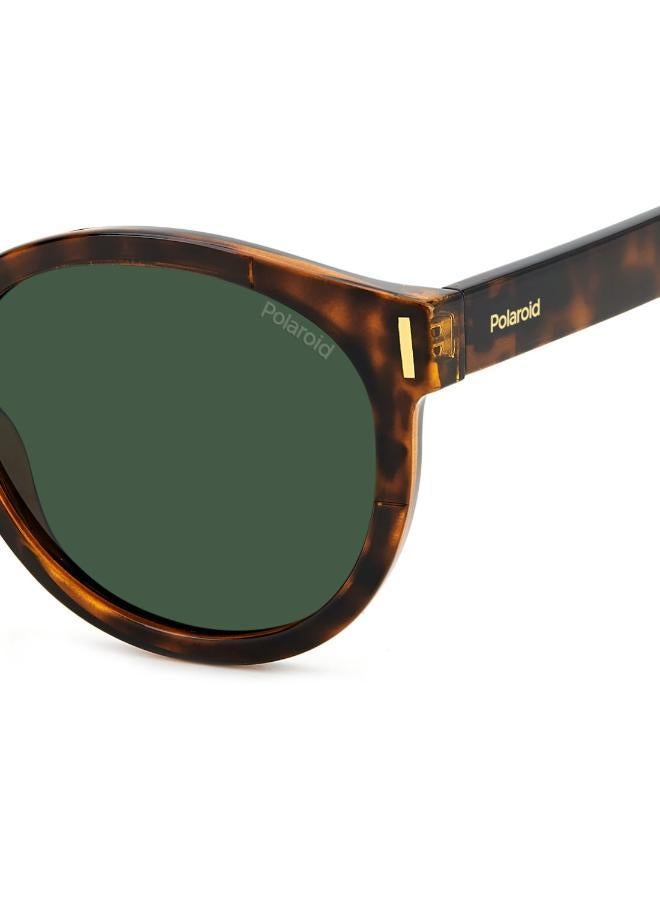 Polaroid Sunglasses PLD 6185/S - Image 5