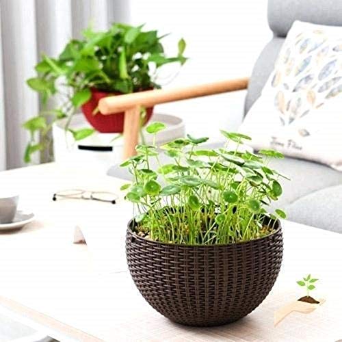 Bianco Round Rattan Woven Hanging Planters with Hanging Chain, Hanging Pots for Plants Balcony (Coffee Brown, Set of 5, 7.1x4.8 Inch) - Image 2