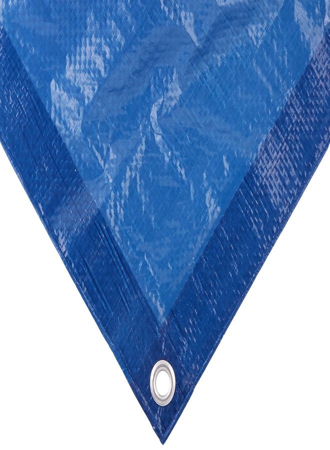 DeWitt M8X10 Super Tarp Outdoor Canopies, 2.3 oz/Small, Blue - Image 1