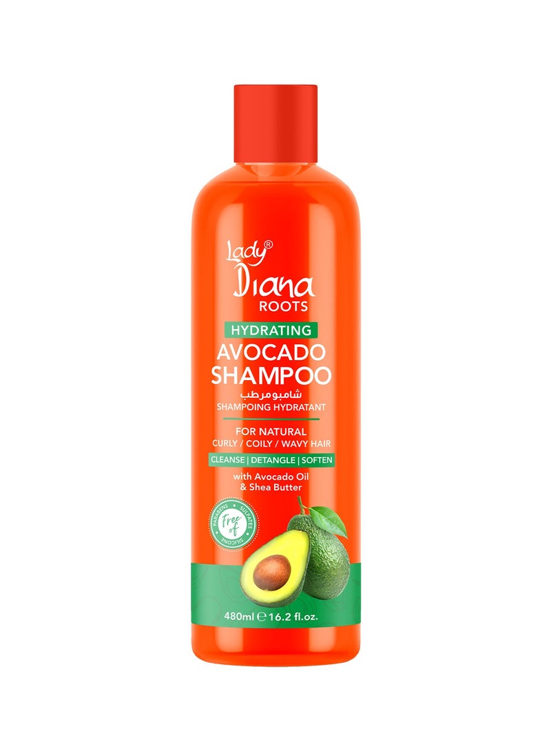 Lady Diana Roots Avocado & Shea Hydrating Shampoo 480ml | Deep Moisture Formula | Strengthens & Softens Dry, Damaged Hair - Image 1