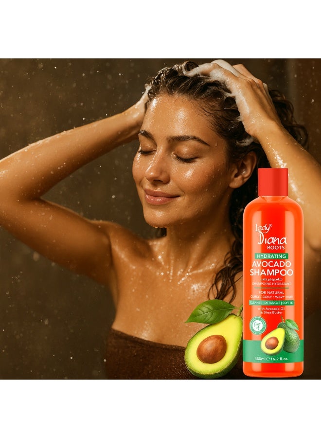 Lady Diana Roots Avocado & Shea Hydrating Shampoo 480ml | Deep Moisture Formula | Strengthens & Softens Dry, Damaged Hair - Image 3