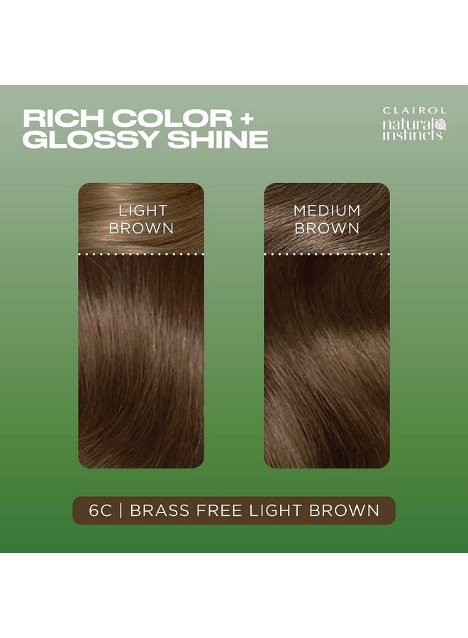 Clairol Natural Instincts Demi-Permanent Hair Dye, 6C Light Brown Hair Color, Pack of 3 - Image 3