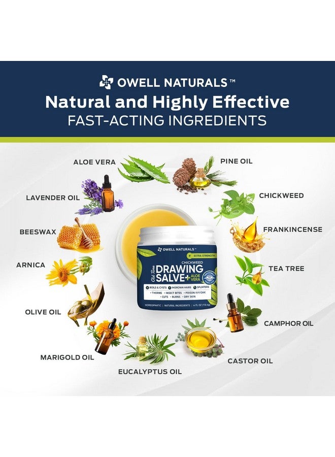 OWELL NATURALS OWELL Naturals Chickweed Salve 4 oz- Drawing Salve with Aloe Vera for Boil & Cyst, Poison Ivy/Oak, Skin Disorder, Irritations, Burns, Minor Cuts, Dry Skin, Itching - Image 4