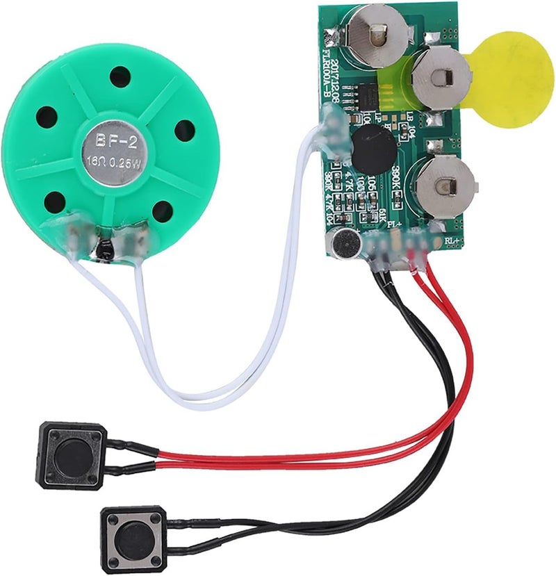 Eboxer 4 Minutes Re-recordable Voice Sound Chip - Recordable Voice Module for DIY Audio Greeting Cards - Image 1