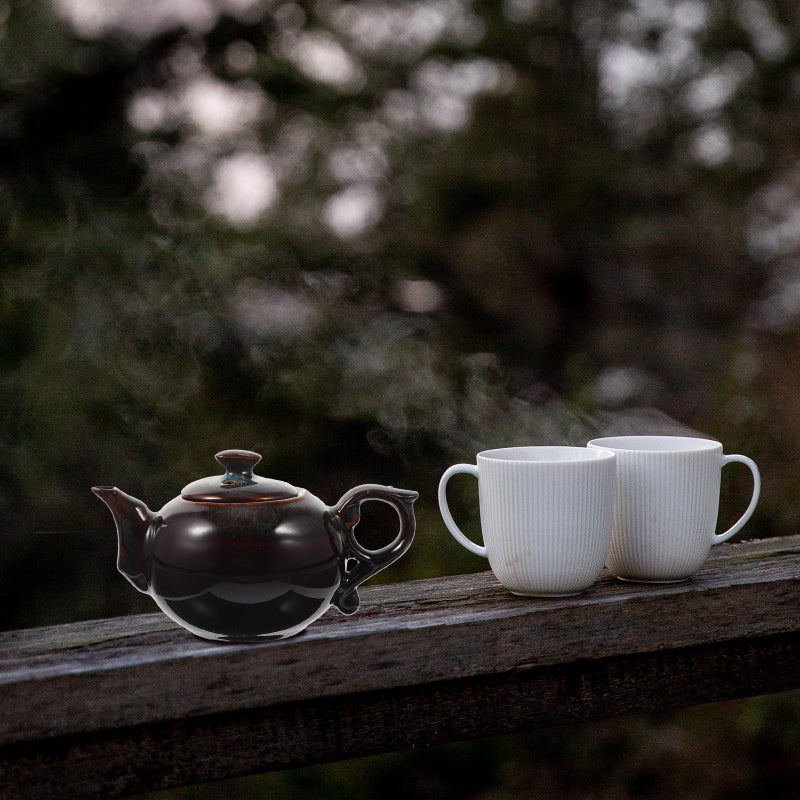 Blue Ceramic Gongfu Teapot with Side Handle Heat Resistant Porcelain for Loose Leaf Tea Brewing - Image 5