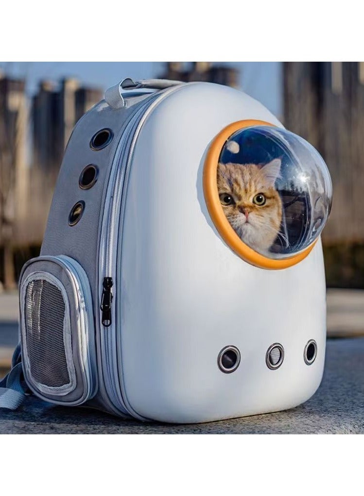 Portable Pet Carrier Bag, Outdoor Travel Puppy Cat Bag - Image 1