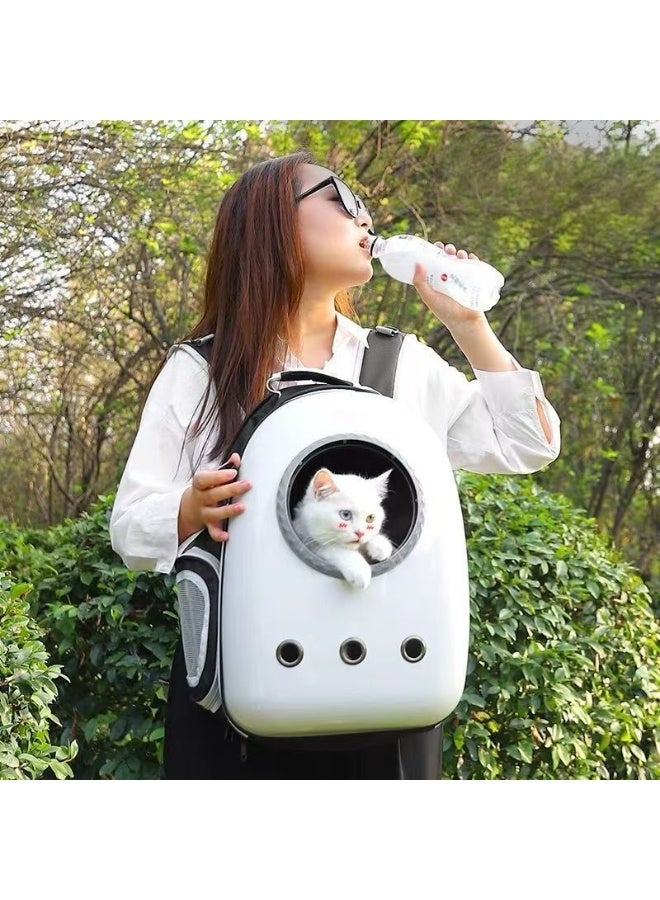 Portable Pet Carrier Bag, Outdoor Travel Puppy Cat Bag - Image 4