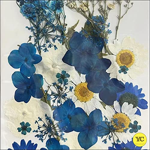 YellowCult Natural Real Dried & Pressed Flowers for Art Craft - Mixed, Multicolor for Soap, Candle, Scrapbooking, DIY, Resin Jewelry, Pendant - [Luxury Blue & White 30-35 pcs] - Image 3