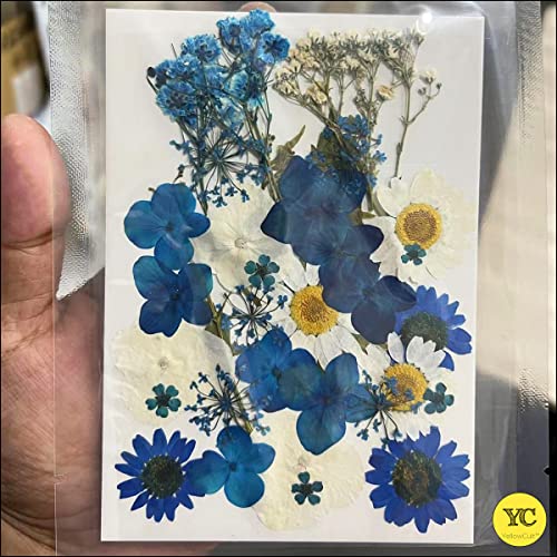YellowCult Natural Real Dried & Pressed Flowers for Art Craft - Mixed, Multicolor for Soap, Candle, Scrapbooking, DIY, Resin Jewelry, Pendant - [Luxury Blue & White 30-35 pcs] - Image 4