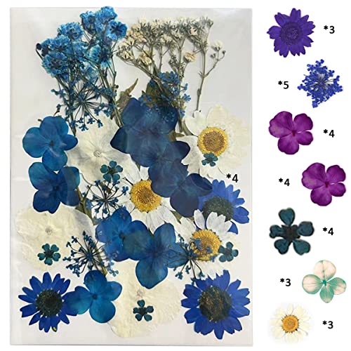YellowCult Natural Real Dried & Pressed Flowers for Art Craft - Mixed, Multicolor for Soap, Candle, Scrapbooking, DIY, Resin Jewelry, Pendant - [Luxury Blue & White 30-35 pcs] - Image 1