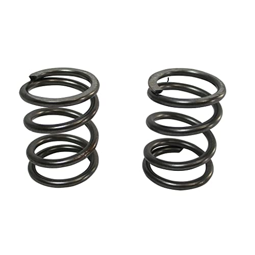 ARC Racing (2) Pack of 26Lb Valve Springs, White - Image 4