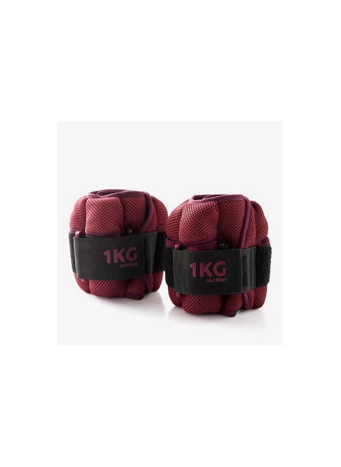 DECATHLON Adjustable 1 kg Soft Fitness Dumbbells ToneSoftBell Two-Pack  - Image 1