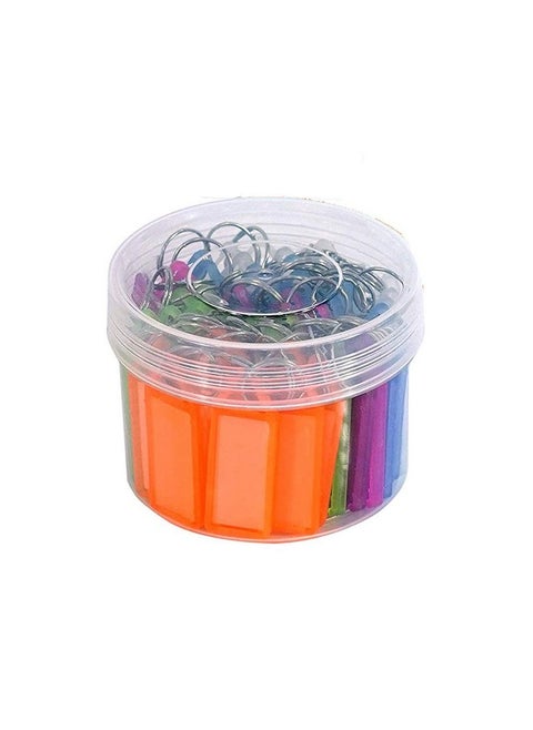 Multicolor Keyring & Keychain With Name Tag Labels (Pack Of 50)