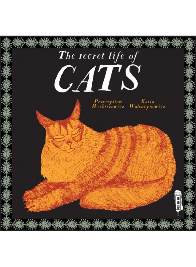 The Secret Lives of Cats