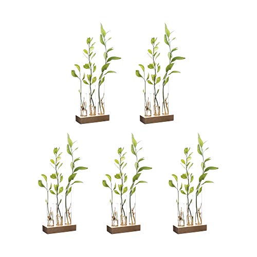 LABZIO Home - Flower Vase with 3 Hand Blown Borosilicate Glass Test Tubes in a Small Rectangle Wooden Block Stand Pack of 5 - Image 1