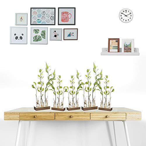 LABZIO Home - Flower Vase with 3 Hand Blown Borosilicate Glass Test Tubes in a Small Rectangle Wooden Block Stand Pack of 5 - Image 3